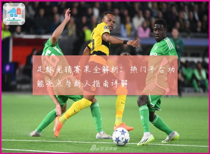 足球竞猜赛果全解析：热门平台功能亮点与新人指南详解