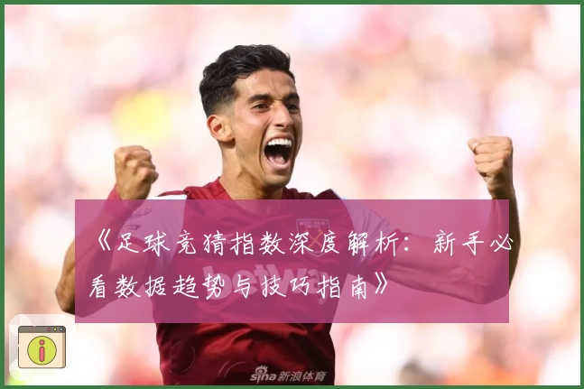 《足球竞猜指数深度解析：新手必看数据趋势与技巧指南》