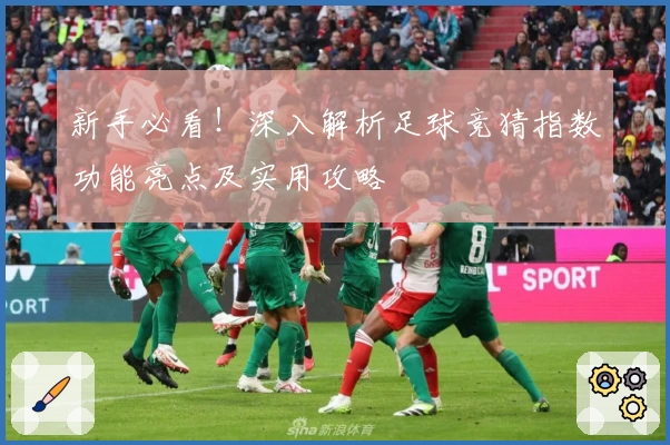 新手必看！深入解析足球竞猜指数功能亮点及实用攻略